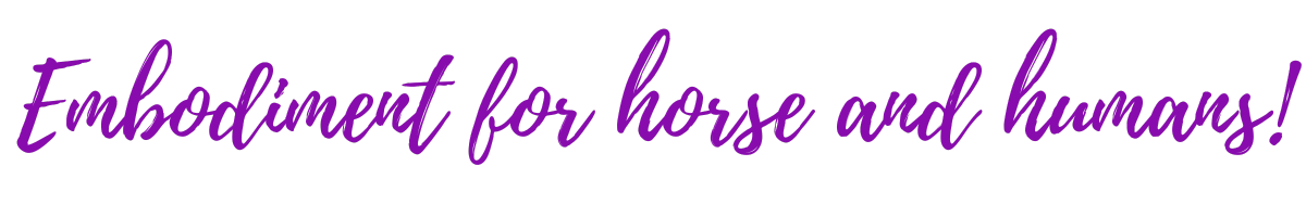 Free Bodywork Class (13)